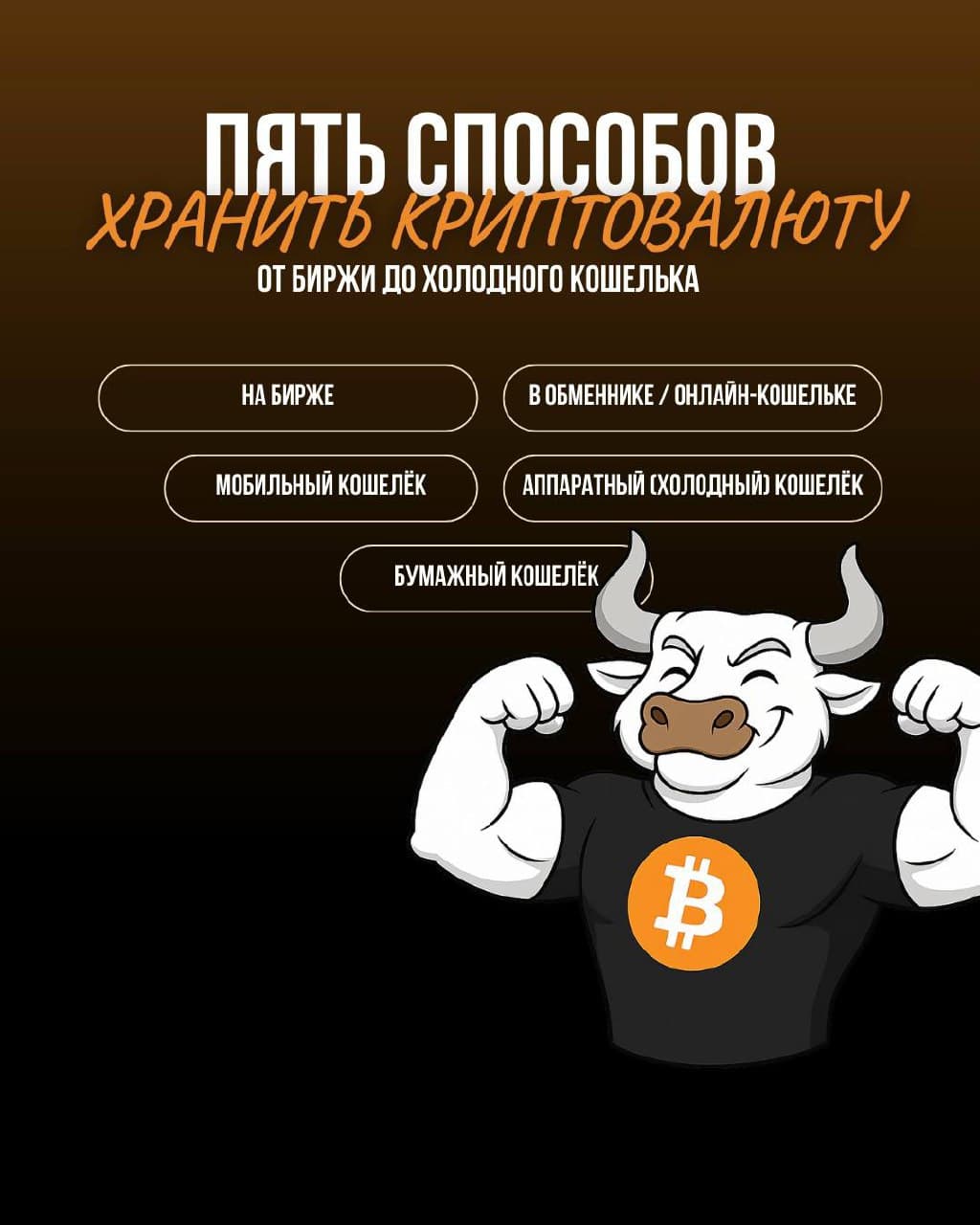 🔐 5 способов хранить криптовалюту: от биржи до холодного кошелька