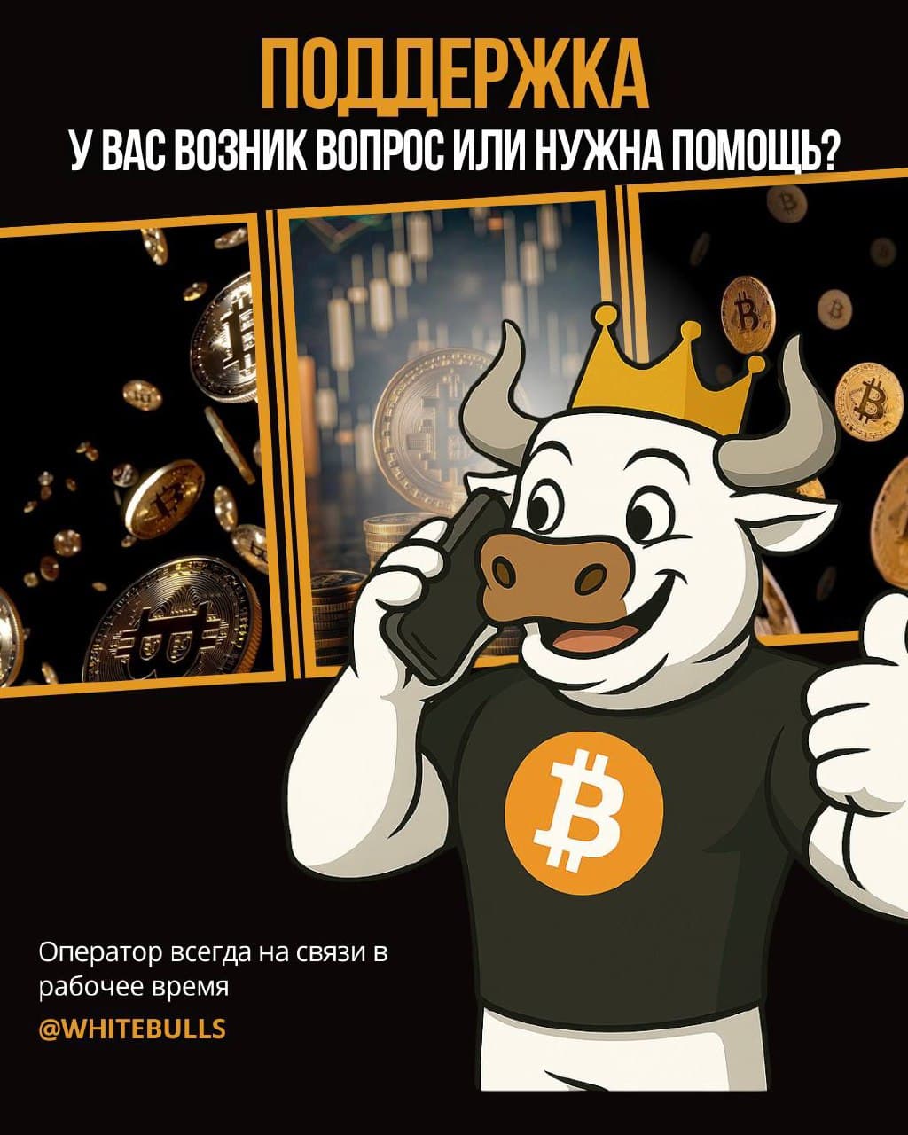 ⚠️ Поддержка
