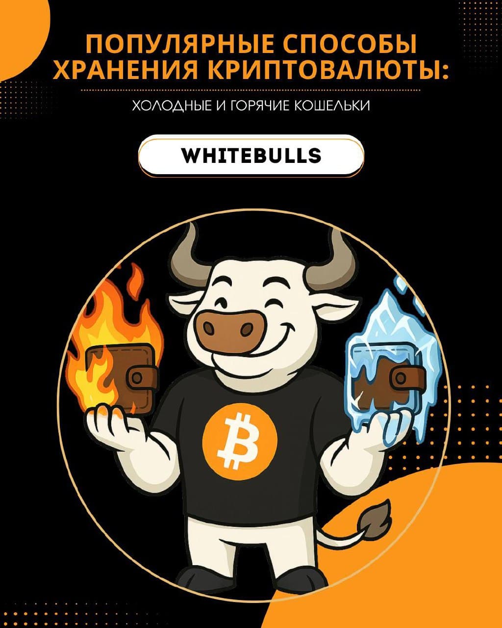 Популярные способы хранения криптовалюты: холодные и горячие кошельки